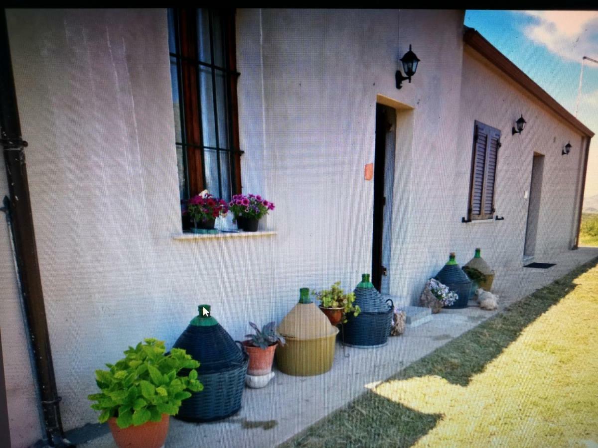 Su Cuile Historical Country House With Barbecue Martis Eksteriør billede